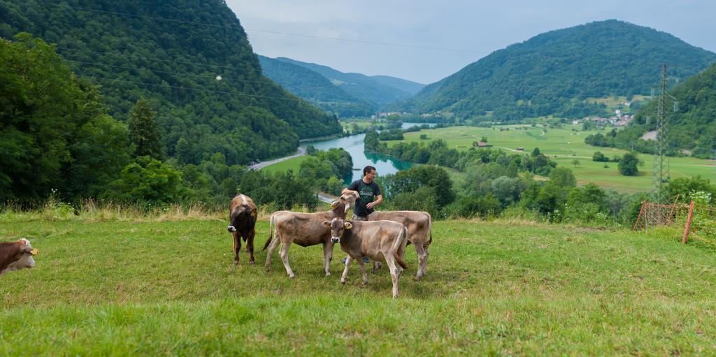 Willa Tourist Farm Pri Kafolu Tolmin Zewnętrze zdjęcie