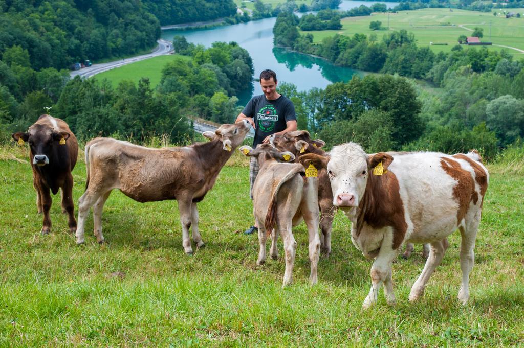 Willa Tourist Farm Pri Kafolu Tolmin Zewnętrze zdjęcie